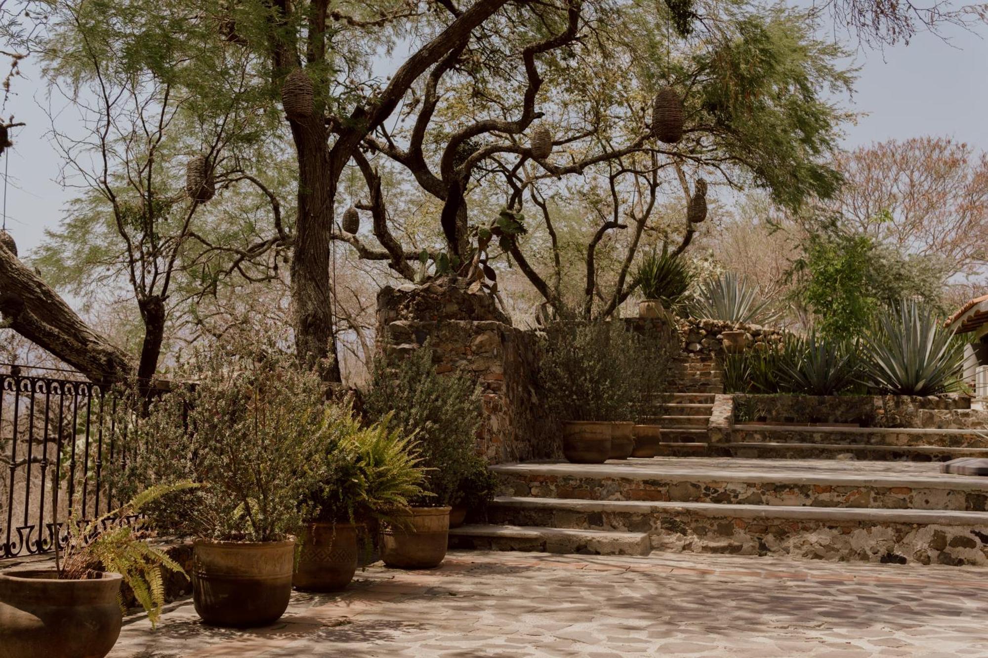 Hacienda San Nicolas De Las Fuentes Teuchitlan ภายนอก รูปภาพ