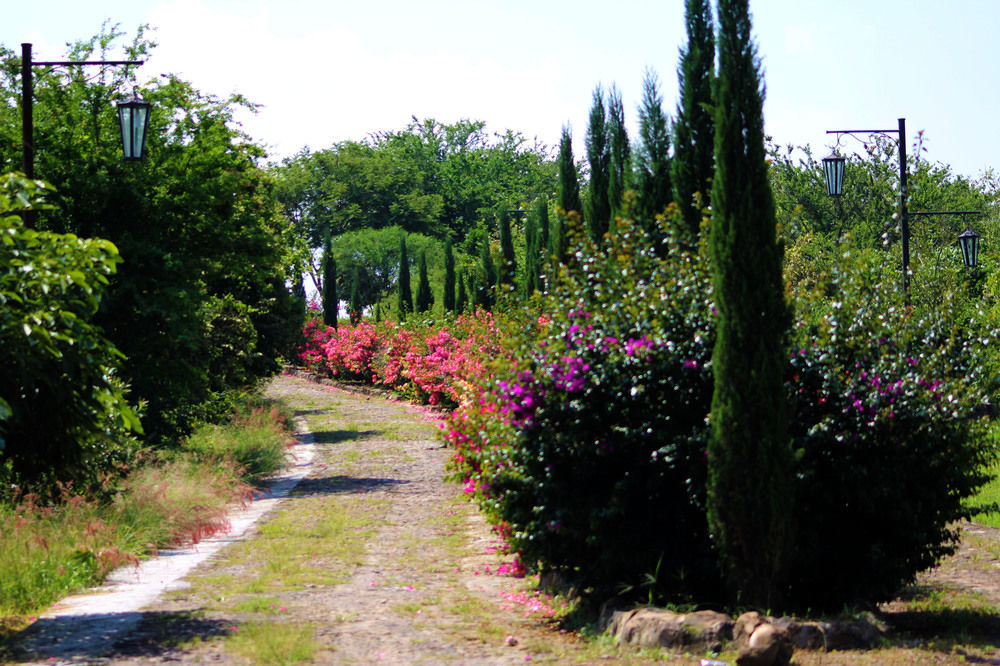 Hacienda San Nicolas De Las Fuentes Teuchitlan ภายนอก รูปภาพ